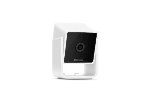 Petcube Cam CC10US - Lemmikloomade jälgimise HD-kaamera