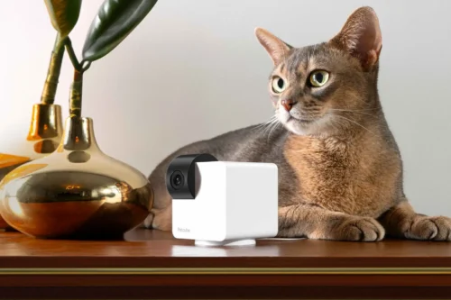 Petcube Cam 360 P36010US - Lemmikloomade jälgimise HD-kaamera - Image 6