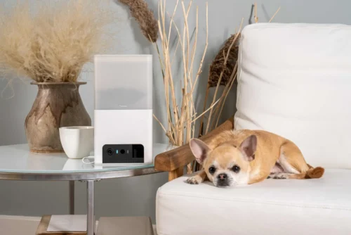 Petcube Bites 2 Lite BL10US – lemmikloomakaamera maiusejaoturiga - Image 5