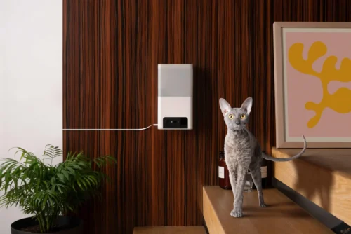 Petcube Bites 2 Lite BL10US – lemmikloomakaamera maiusejaoturiga - Image 6
