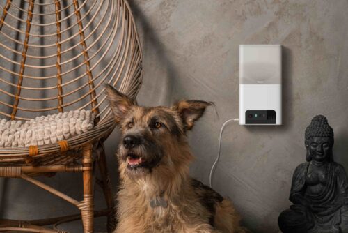 Petcube Bites 2 Lite BL10US – lemmikloomakaamera maiusejaoturiga - Image 4
