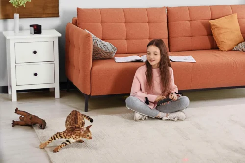 Petcube Play 2 PP20US  – Lemmikloomade jälgimise HD-kaamera - Image 6