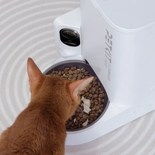 Petkit YumShare Solo P571 3L - Automaatne toidutosaator - Image 2