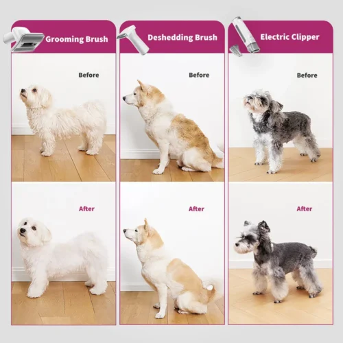 PETKIT FurWaker Grooming Kit 5-ühes – professionaalne lemmiklooma hoolduskomplekt (LM4) - Image 12