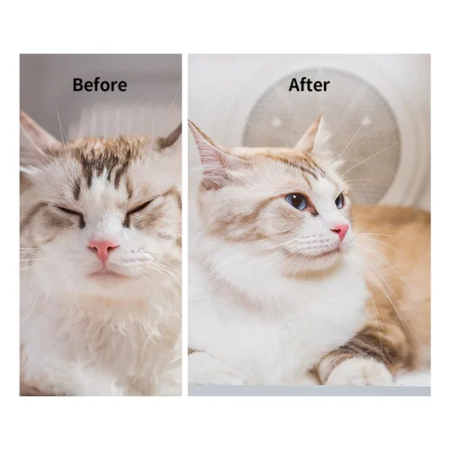 PETKIT AIRSALON MAX Pro – Lemmiklooma kuivati - Image 4