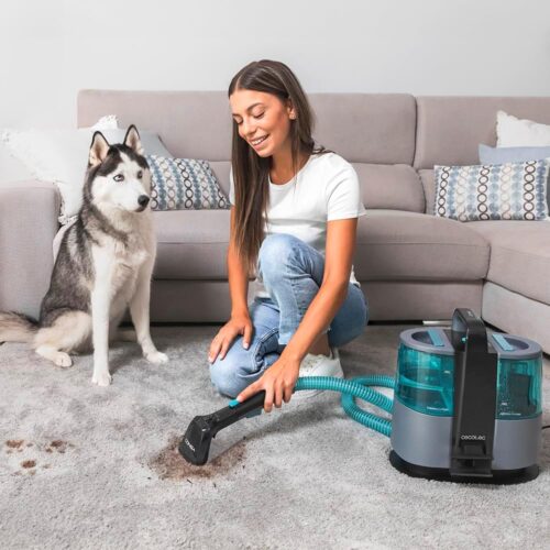 Cecotec Conga 4000 Carpet&Spot Clean - Tekstiilipesur - Image 6