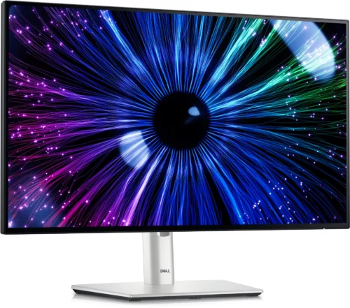 DELL UltraSharp LCD monitor U2424HE 23.8" 210-BKJF