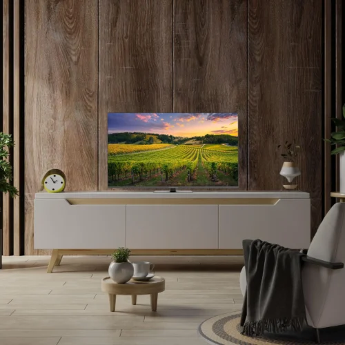 Thomson 43" 4K QLED Google TV 43QG5C14 - Image 5
