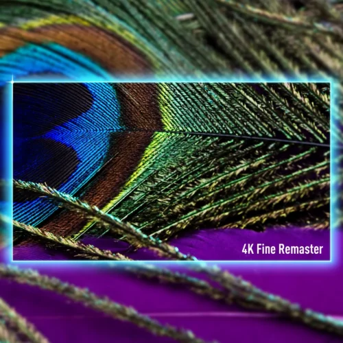 Panasonic 65" 4K OLED Teler TV-65Z95AEG - Image 11