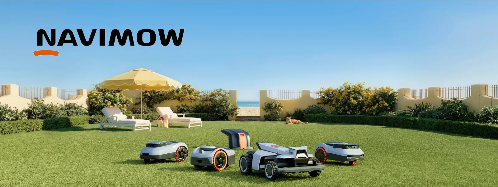 segway 1600×600